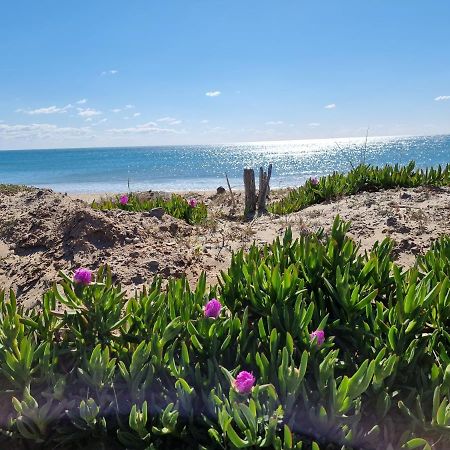 207 Cap D'Agde Naturiste Grand T2 De Standing Avec Garage Dış mekan fotoğraf