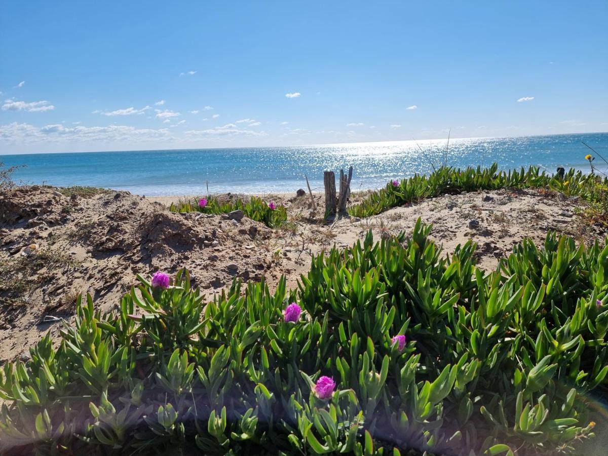 207 Cap D'Agde Naturiste Grand T2 De Standing Avec Garage Dış mekan fotoğraf